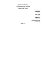 Referāts 'Magnētiskās smiltis', 1.