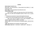 Referāts 'Magnētiskās smiltis', 2.