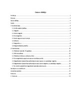 Referāts 'Magnētiskās smiltis', 4.