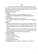 Referāts 'Magnētiskās smiltis', 5.