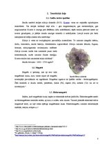 Referāts 'Magnētiskās smiltis', 6.