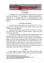 Referāts 'Magnētiskās smiltis', 7.