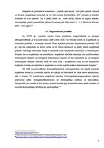 Referāts 'Magnētiskās smiltis', 9.