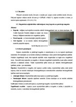 Referāts 'Magnētiskās smiltis', 14.