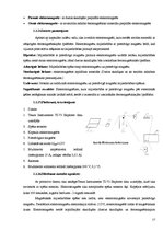 Referāts 'Magnētiskās smiltis', 17.