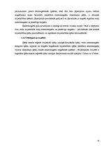 Referāts 'Magnētiskās smiltis', 18.