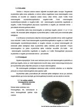 Referāts 'Magnētiskās smiltis', 20.