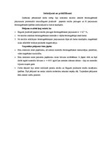 Referāts 'Magnētiskās smiltis', 22.