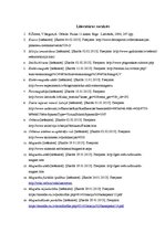 Referāts 'Magnētiskās smiltis', 23.