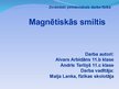 Referāts 'Magnētiskās smiltis', 26.