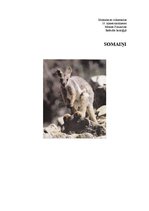 Konspekts 'Somaiņi', 1.