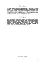 Konspekts 'Somaiņi', 3.