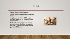 Prezentācija 'Paipalu audzēšana', 4.