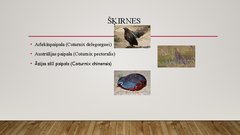 Prezentācija 'Paipalu audzēšana', 5.