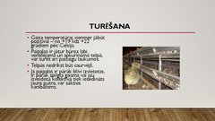 Prezentācija 'Paipalu audzēšana', 6.