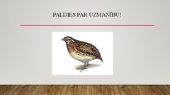 Prezentācija 'Paipalu audzēšana', 9.