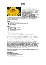 Konspekts 'Bites', 1.