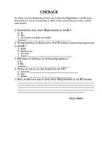 Referāts 'Jugendrelevente Themen in der EU', 4.