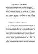 Referāts 'Jugendrelevente Themen in der EU', 10.