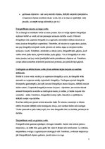 Referāts 'Fotogrāfu paņēmieni jeb izteiksmes līdzekļi, veidojot fotogrāfijas medijiem', 3.