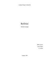 Referāts 'Refleksi', 1.