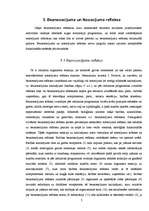 Referāts 'Refleksi', 7.