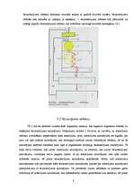 Referāts 'Refleksi', 8.