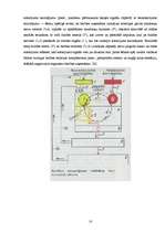 Referāts 'Refleksi', 10.