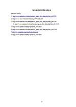 Referāts 'Refleksi', 17.