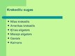 Prezentācija 'Krokodili', 3.