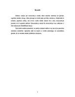 Referāts 'Komunikāciju teorijas: modelēšanas teorija', 2.