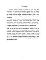 Referāts 'Komunikāciju teorijas: modelēšanas teorija', 9.