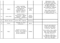 Konspekts 'Latviešu mitoloģiskās būtnes', 3.