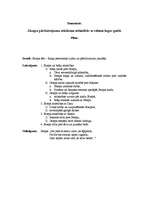 Konspekts 'Rainis - domraksta plāns - Jāzepa pārdzīvojumu atklāsme attiecībās ar citiem lug', 1.