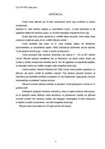 Diplomdarbs 'E-vides risinājumi darba tirgū cilvēkiem ar kustību traucējumiem', 3.