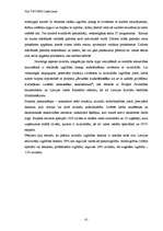 Diplomdarbs 'E-vides risinājumi darba tirgū cilvēkiem ar kustību traucējumiem', 41.