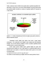 Diplomdarbs 'E-vides risinājumi darba tirgū cilvēkiem ar kustību traucējumiem', 43.