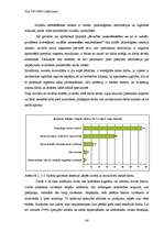 Diplomdarbs 'E-vides risinājumi darba tirgū cilvēkiem ar kustību traucējumiem', 46.