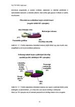 Diplomdarbs 'E-vides risinājumi darba tirgū cilvēkiem ar kustību traucējumiem', 61.