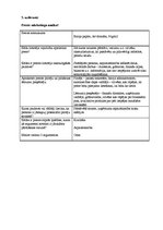 Prakses atskaite 'Pārdošanas prakses atskaite', 13.