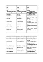 Referāts 'Dzimtās valodas kultūras pamati', 13.