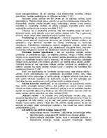 Referāts 'Valūtas tirgus, valūtas kurss īsā un ilgā laika periodā', 5.