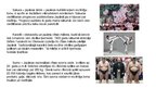 Prezentācija 'Japānas tradīcijas', 4.