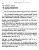 Eseja 'A.Čaks "Spēle ar dzīvību"', 1.