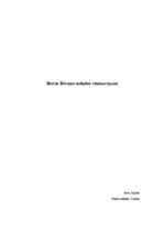 Referāts 'Borisa Bērziņa mākslas raksturojums', 1.