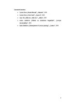 Referāts 'Borisa Bērziņa mākslas raksturojums', 8.