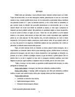 Referāts 'Noziedzīgie nodarījumi datoru sfērā', 3.