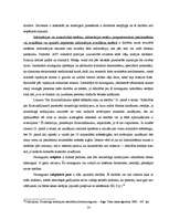 Referāts 'Noziedzīgie nodarījumi datoru sfērā', 14.