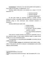 Referāts 'Noziedzīgie nodarījumi datoru sfērā', 19.