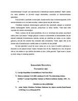 Referāts 'Noziedzīgie nodarījumi datoru sfērā', 21.